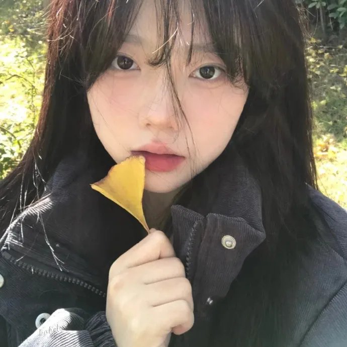 老鼠玛戈